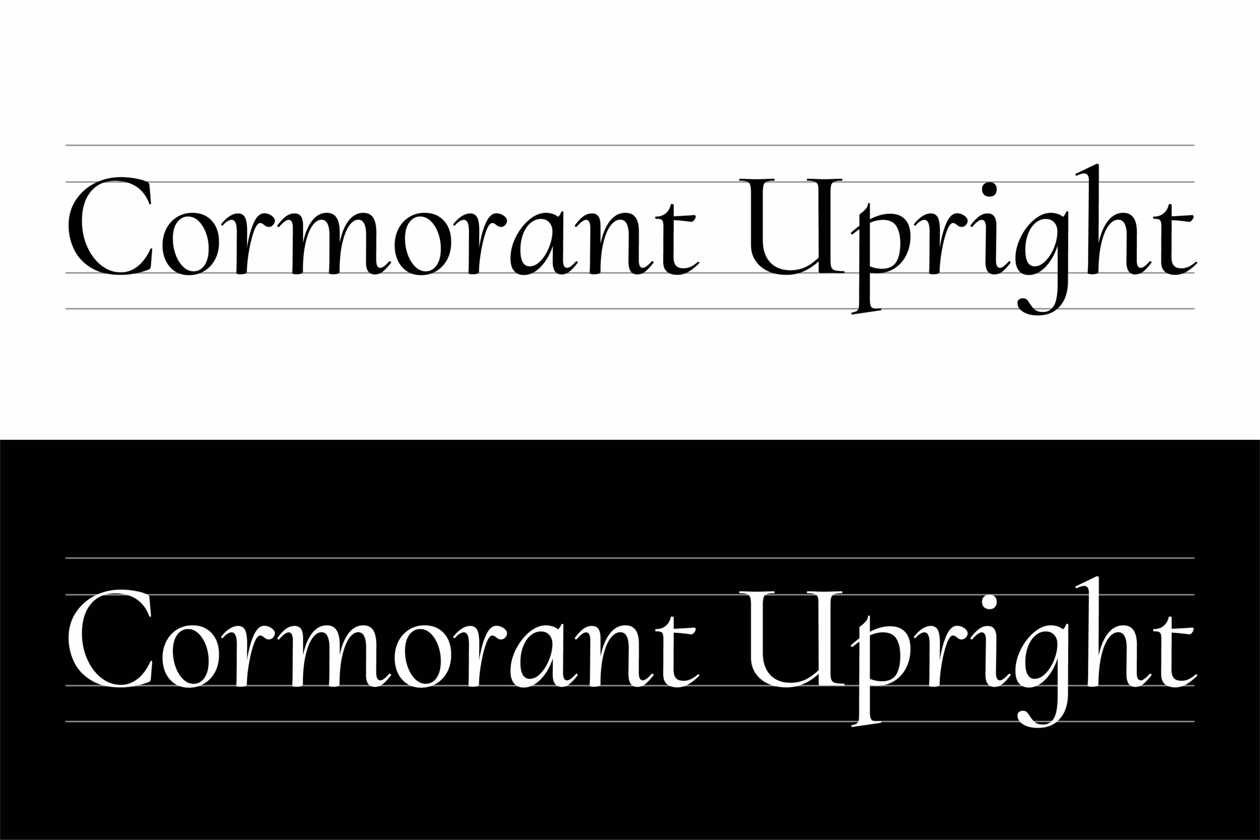 Cormorant Upright